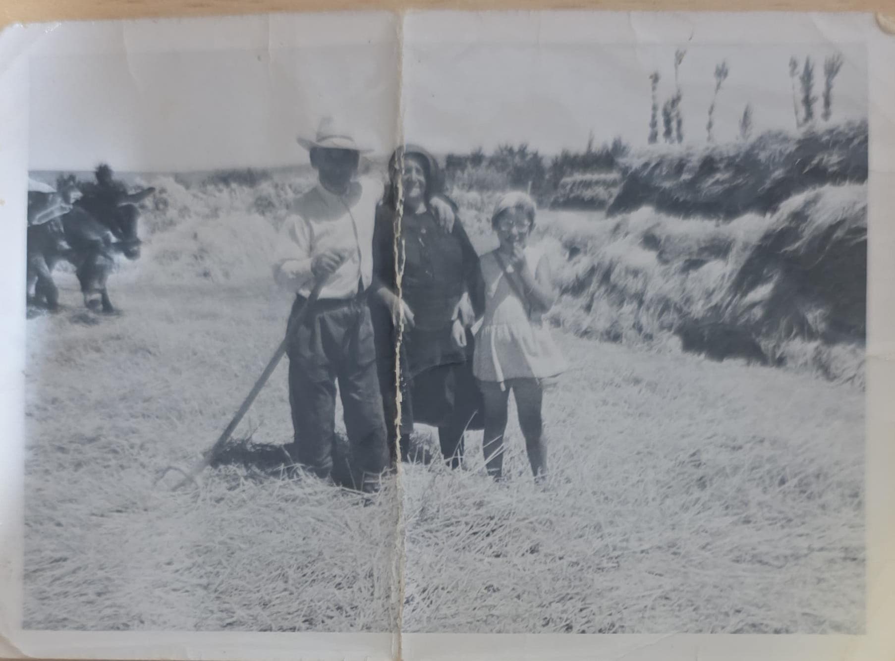 Fotografía de hace muchos años